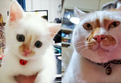 おすすめ