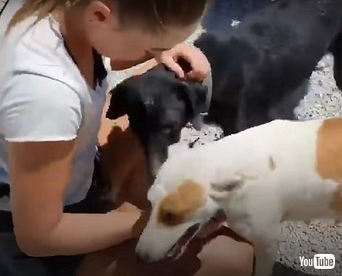 人懐っこくなったワンコ