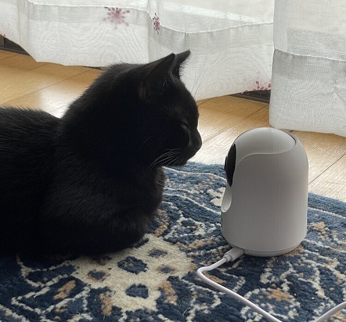 ペット手帳 ベストショット