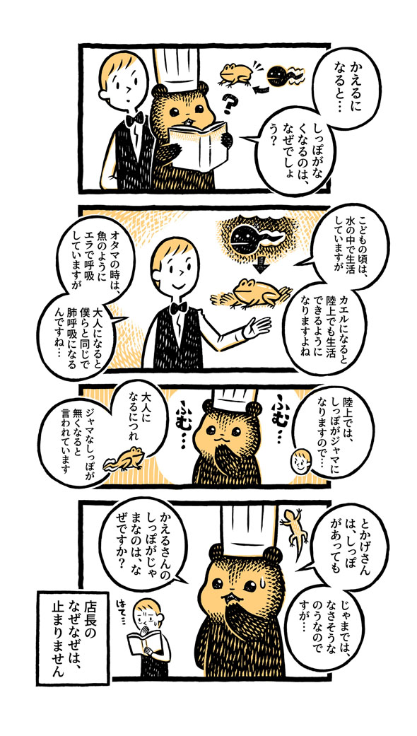 こぐまのケーキ屋さん