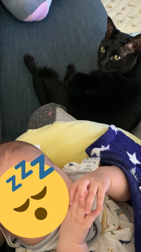 やまとくん