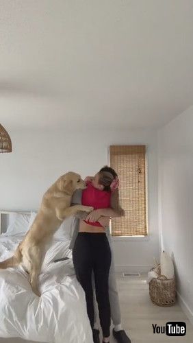 ハグに入りたい犬