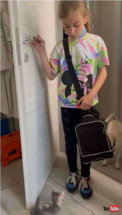 子猫に気づく女の子