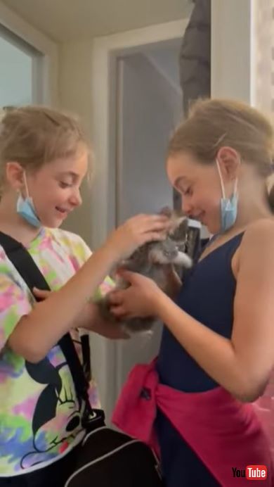 子猫を抱っこする双子