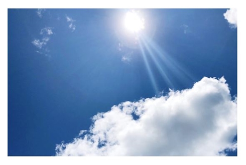 秋野暢子の投稿