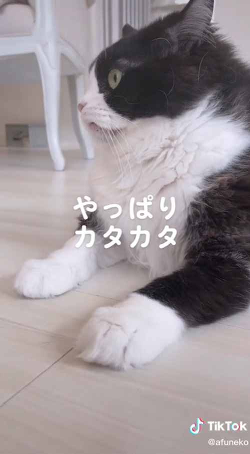 靴下カタカタ横顔