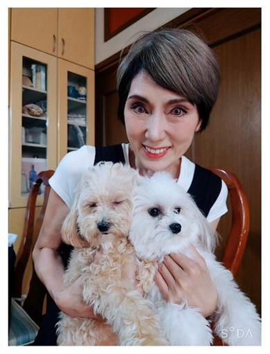 秋野暢子と愛犬たち