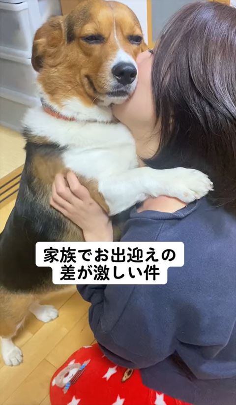 ワンコの恍惚な表情