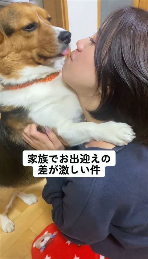 舌を出すワンコ