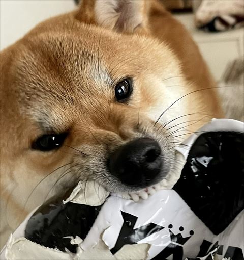 トリミング