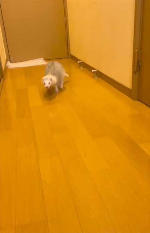 廊下に立ってる