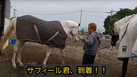 会えた瞬間