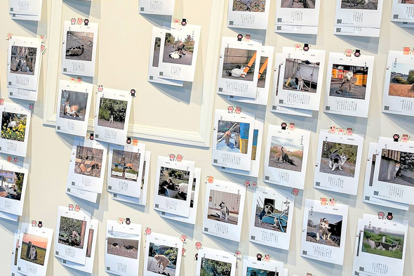 1枚ならプリント持っていってもいいよー 写真展の一覧