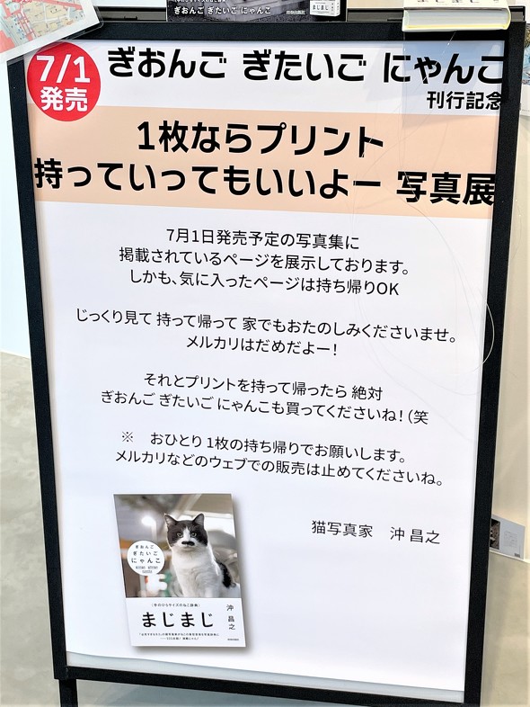 1枚ならプリント持っていってもいいよー 写真展の注意書き