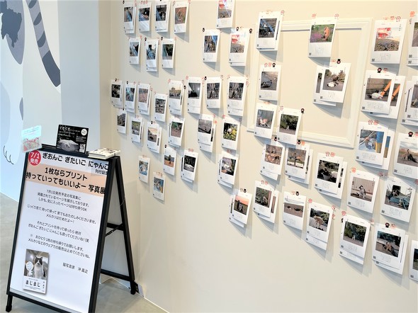 1枚ならプリント持っていってもいいよー 写真展