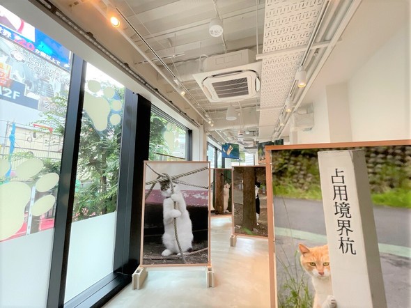 沖さんの写真展