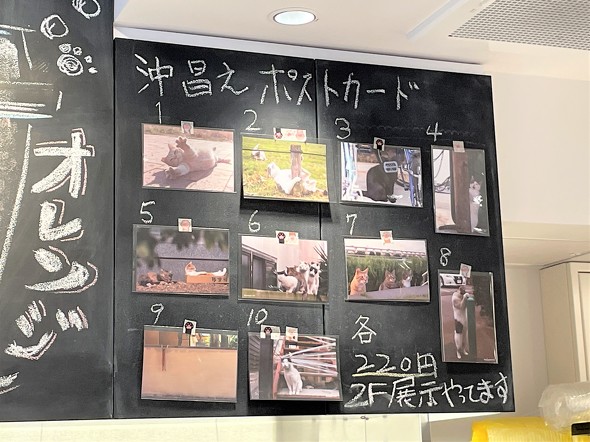 ポストカードの販売中