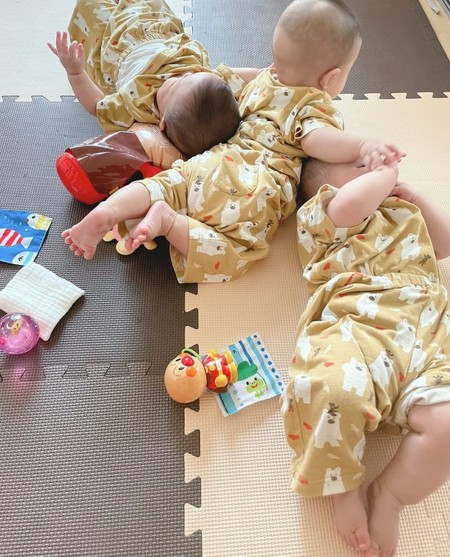 絶妙なバランスの三つ子ちゃんトリミング