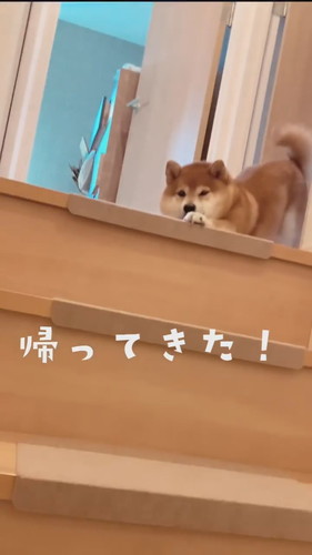 知らない人が帰ってきた？