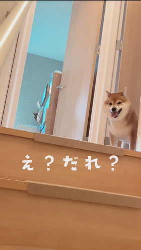 知らない人が帰ってきた？