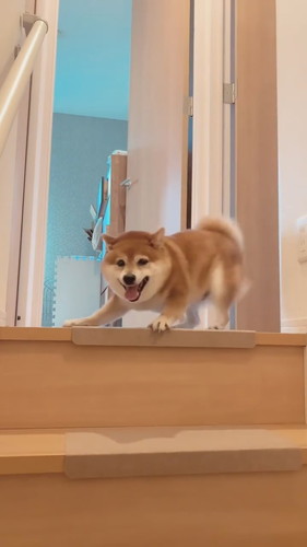 知らない人が帰ってきた？