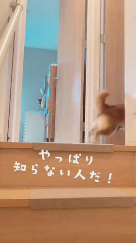 知らない人が帰ってきた？