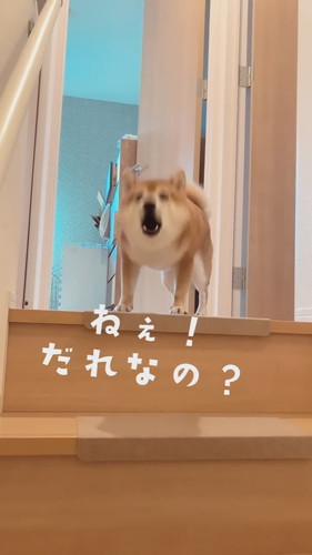 知らない人が帰ってきた？