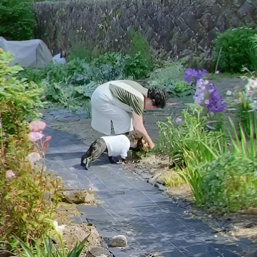 おばあちゃんと犬