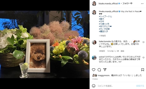 萬田久子の愛犬