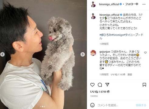 郷ひろみと愛犬