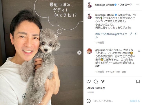 郷ひろみと愛犬