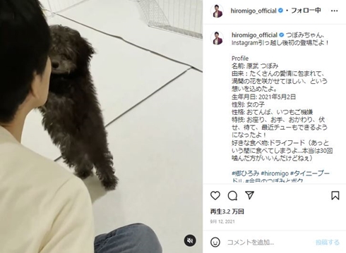 郷ひろみと愛犬