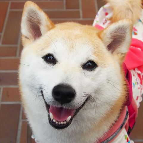 正面笑顔アップ