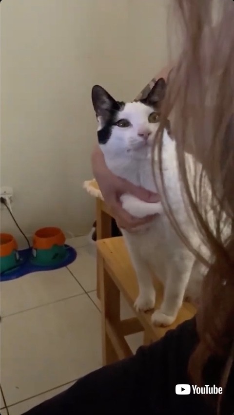 構ってもらった