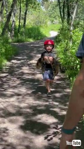 「Small Boy “Adopts” Neighbor’s Cat || ViralHog」