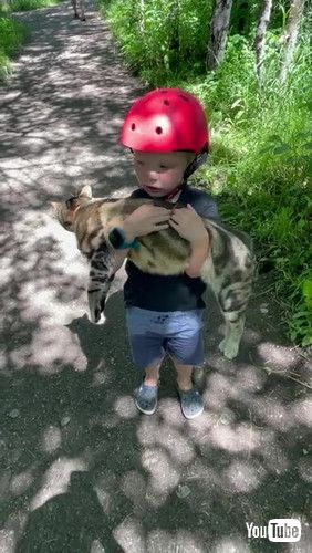 「Small Boy “Adopts” Neighbor’s Cat || ViralHog」