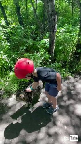 「Small Boy “Adopts” Neighbor’s Cat || ViralHog」