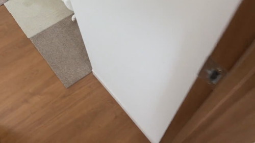 「猫との暮らしは楽しい」