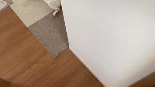 「猫との暮らしは楽しい」