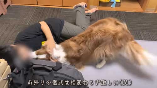 うれしいワンコ