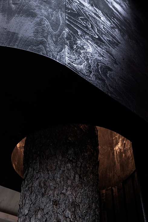 ボルボのグループ会社がツリーハウスを建設　自然と一体化したデザインがすごくおしゃれ