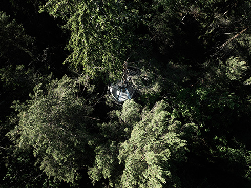 ボルボのグループ会社がツリーハウスを建設　自然と一体化したデザインがすごくおしゃれ