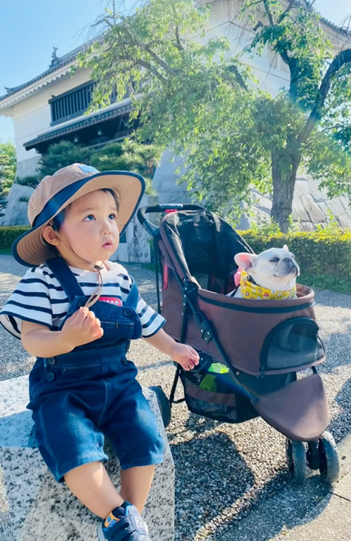 フレンチブルドッグと息子が仲良し