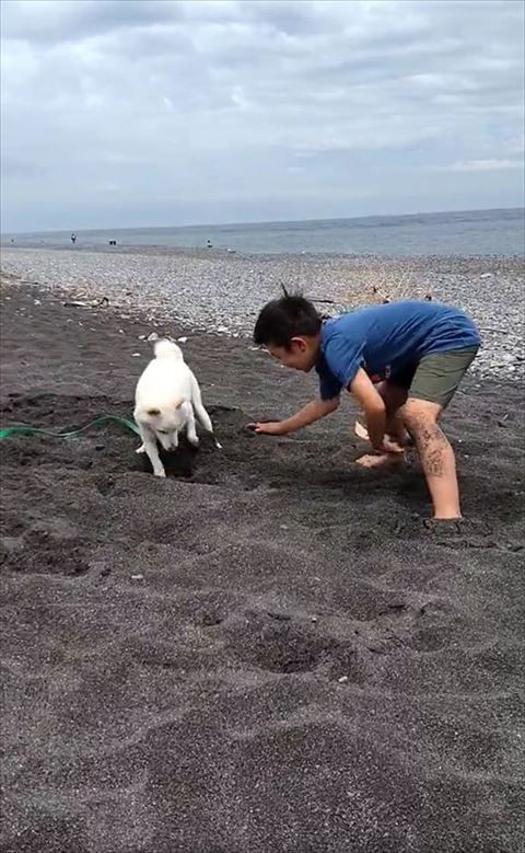 穴を見つめるハクくん