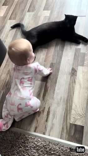 「Baby and Kitty Talk || ViralHog」