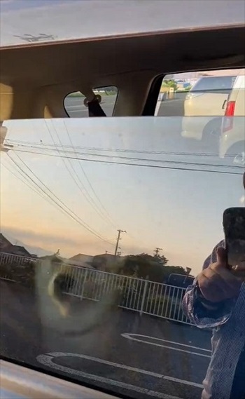 ハイテンションなワンちゃん