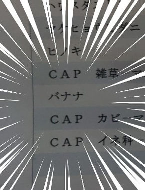 バナナアレルギー