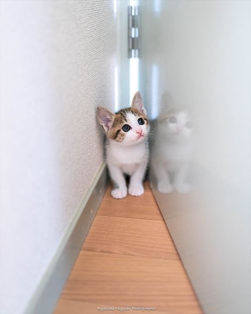 ひなたくん
