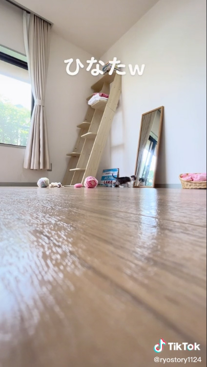 ひなた