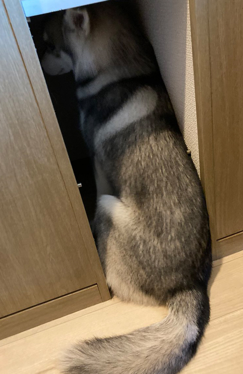 怒られちゃった